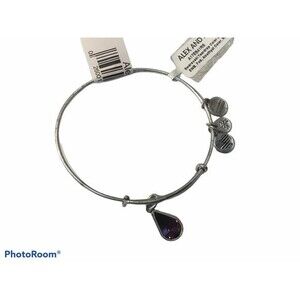 Alex and Ani Swarovski Teardrop February Bracelet